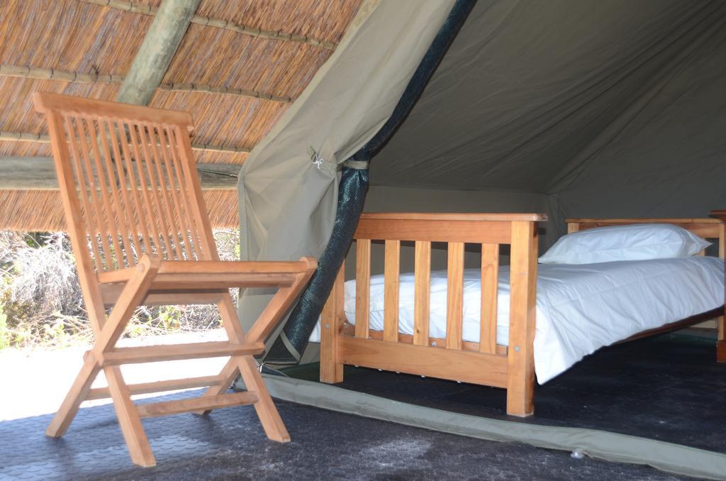 West Coast Luxury Tents Dwarskersbos ภายนอก รูปภาพ