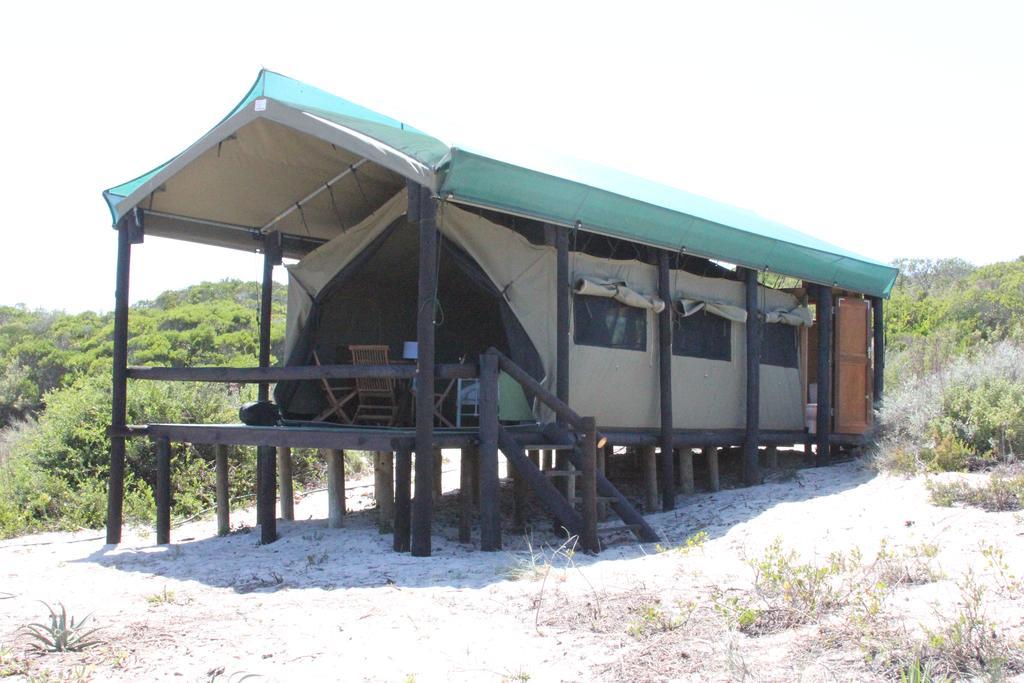 West Coast Luxury Tents Dwarskersbos ภายนอก รูปภาพ