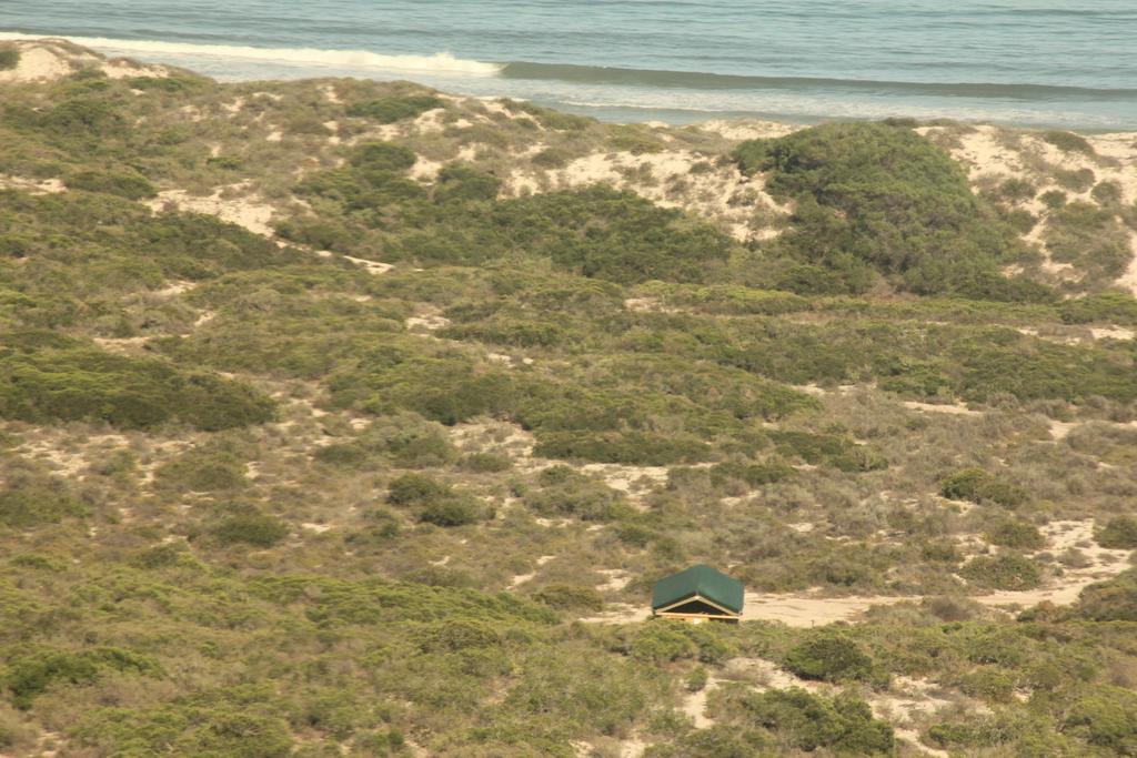 West Coast Luxury Tents Dwarskersbos ภายนอก รูปภาพ