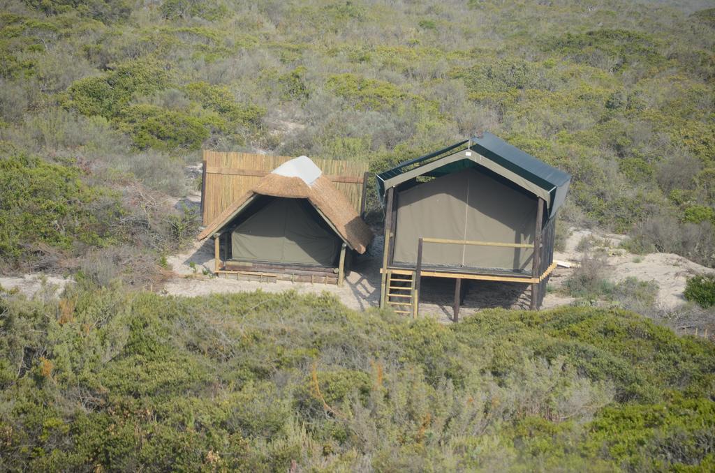 West Coast Luxury Tents Dwarskersbos ภายนอก รูปภาพ