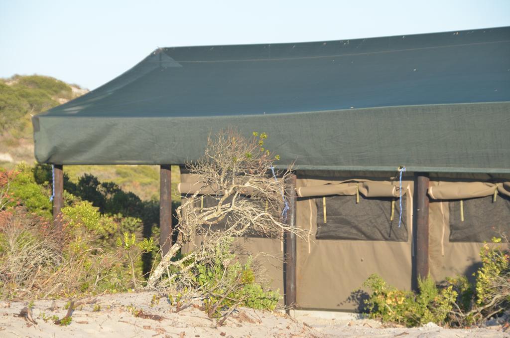 West Coast Luxury Tents Dwarskersbos ภายนอก รูปภาพ