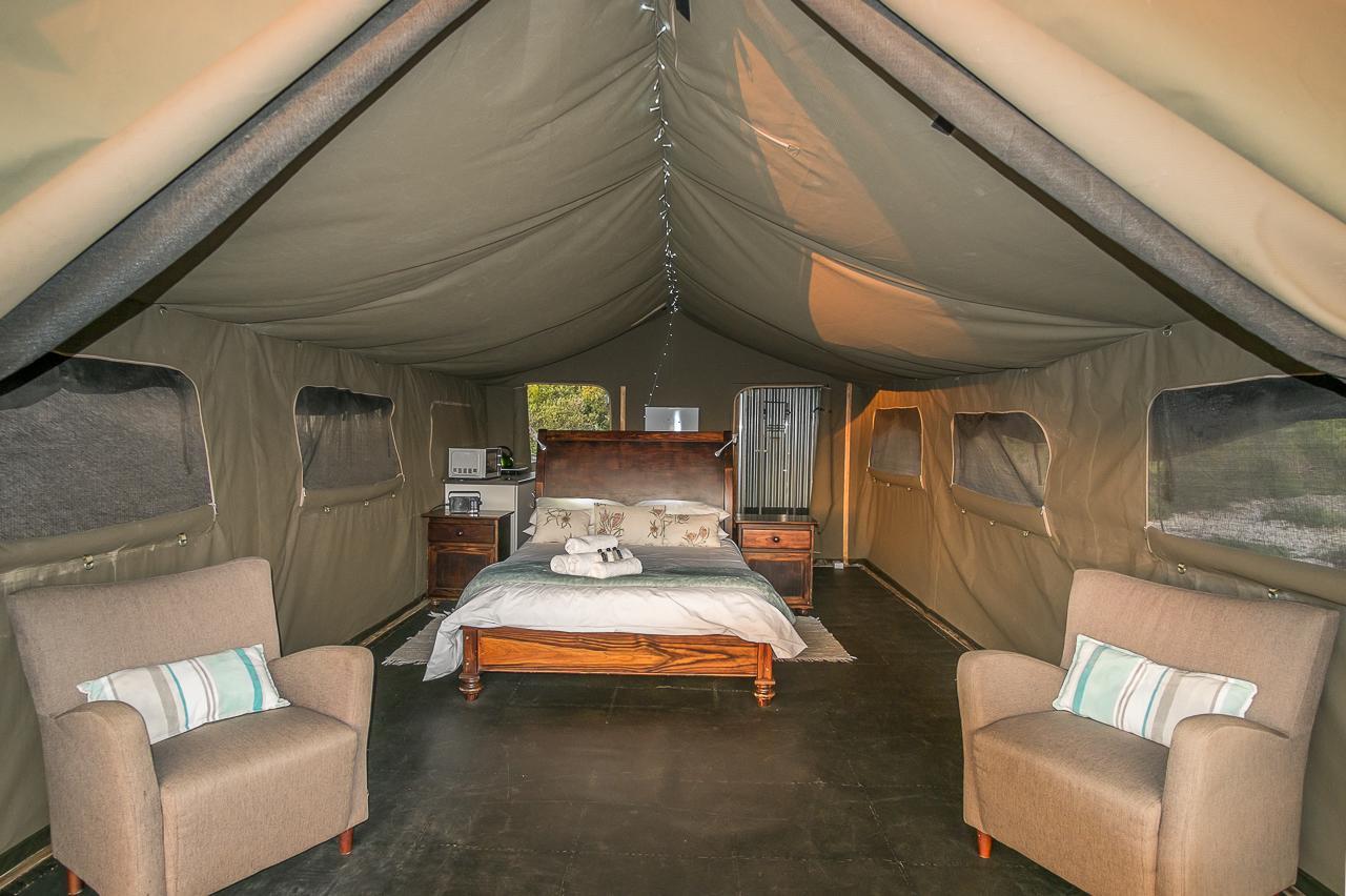 West Coast Luxury Tents Dwarskersbos ภายนอก รูปภาพ